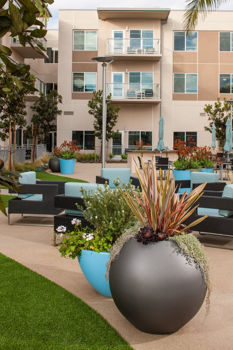 Vivante Senior Living preview 2